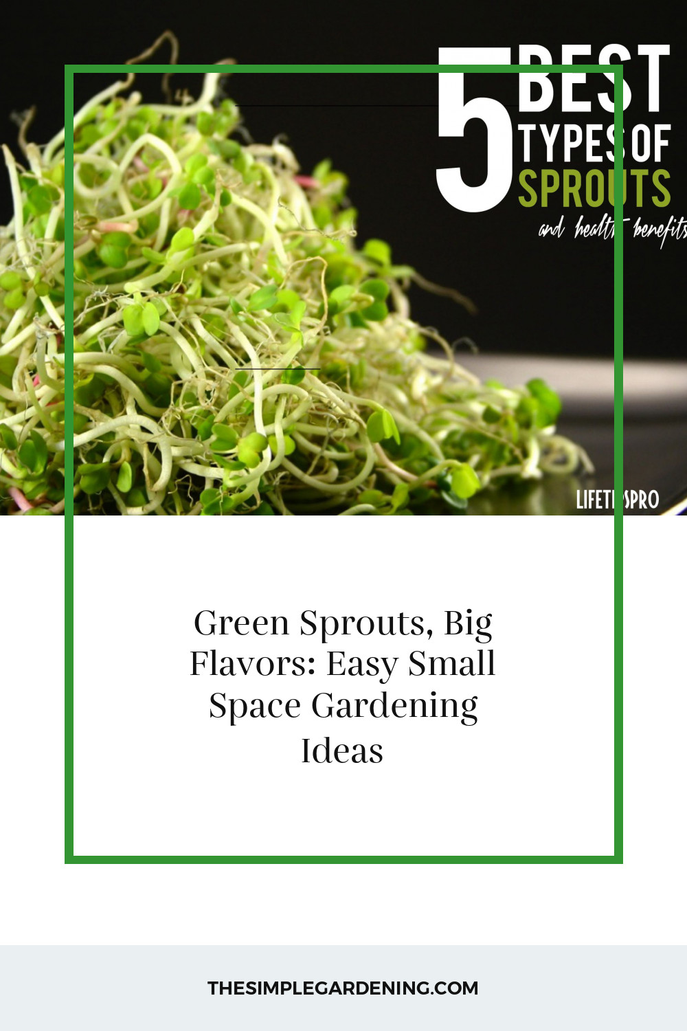 Green Sprouts, Big Flavors: Easy Small Space Gardening Ideas